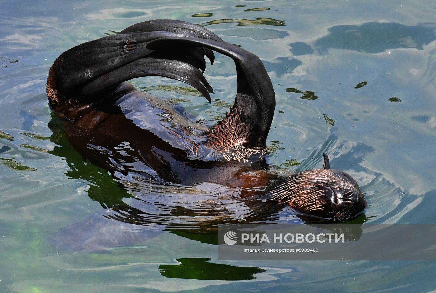 Московский зоопарк