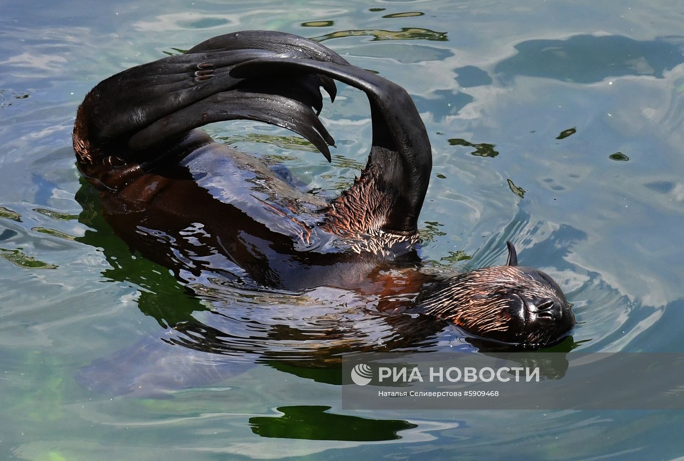 Московский зоопарк