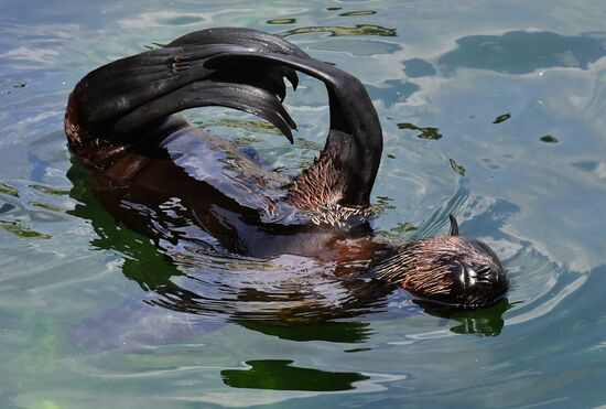 Московский зоопарк