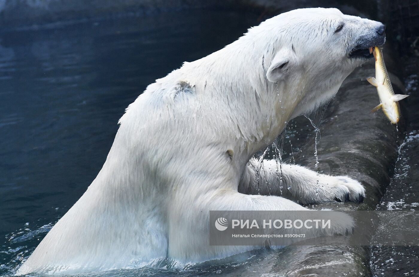 Московский зоопарк