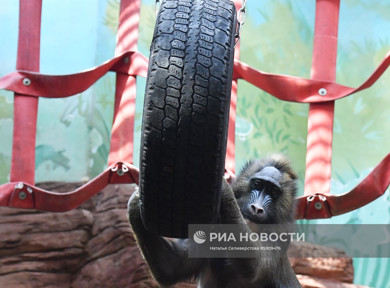 Московский зоопарк