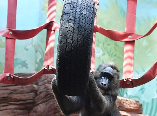 Московский зоопарк