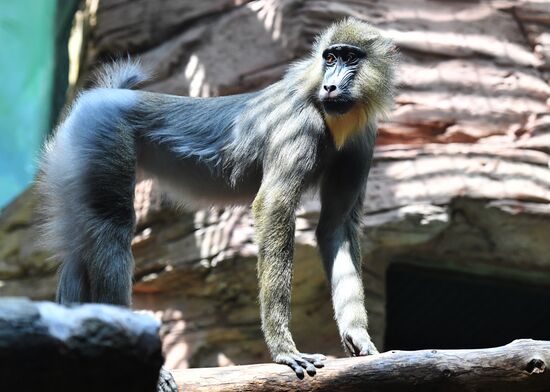 Московский зоопарк