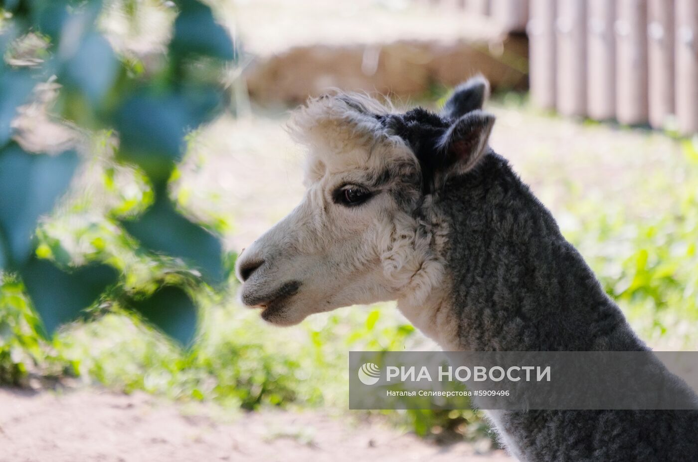 Московский зоопарк