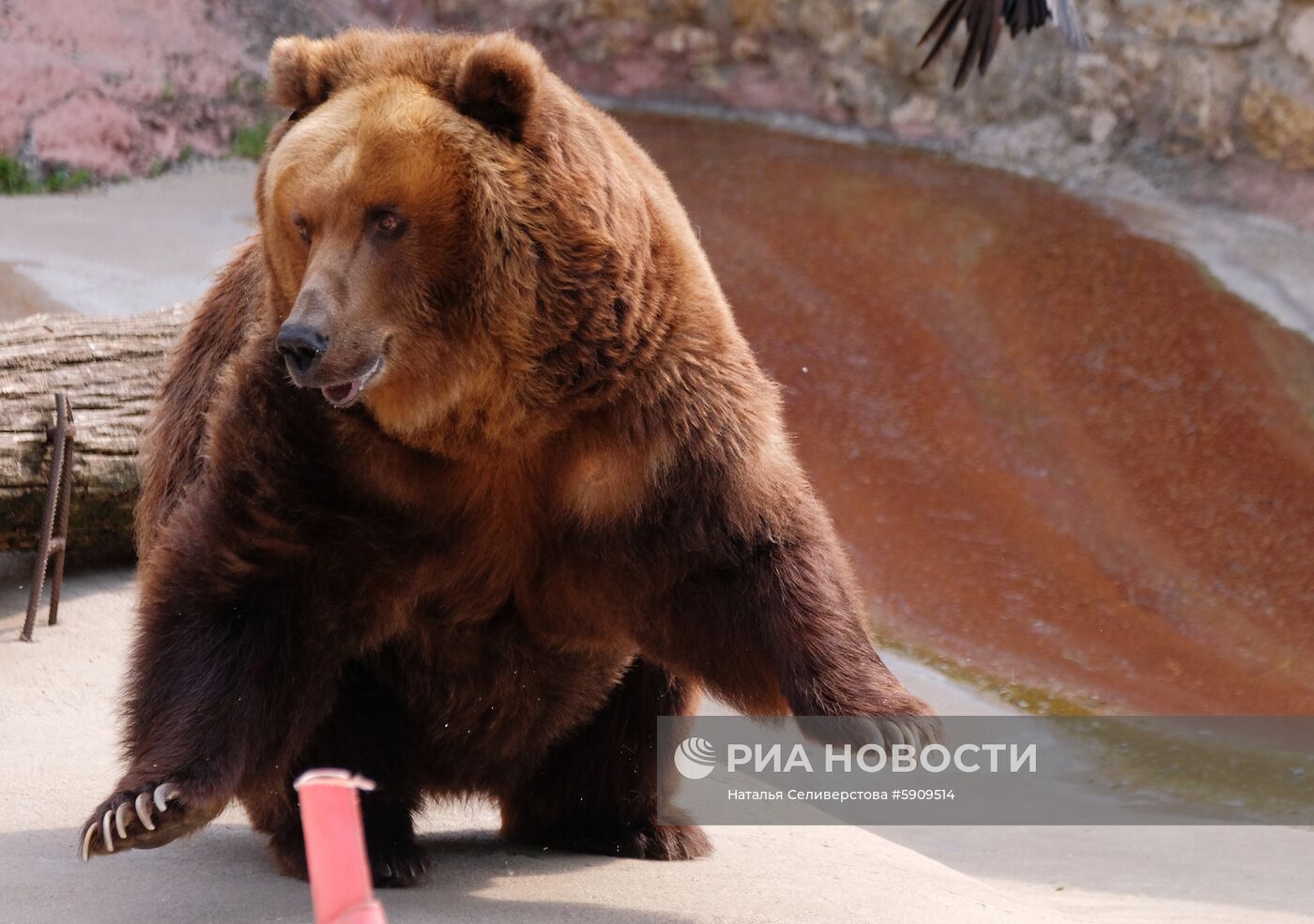 Московский зоопарк