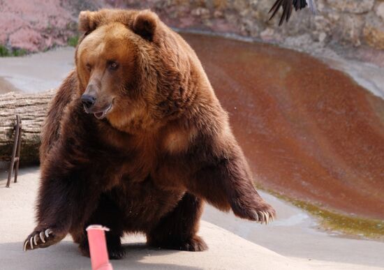 Московский зоопарк