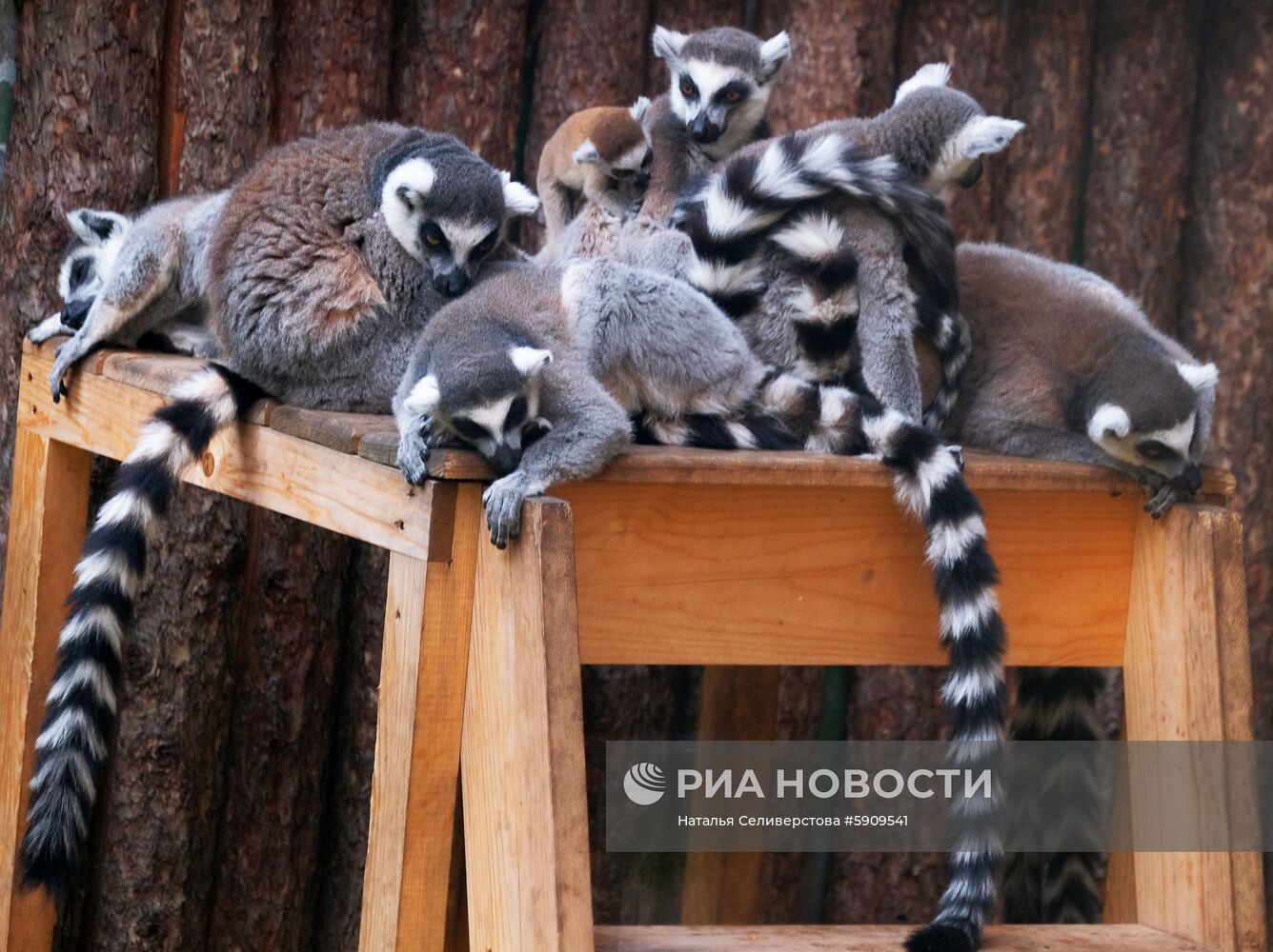 Московский зоопарк