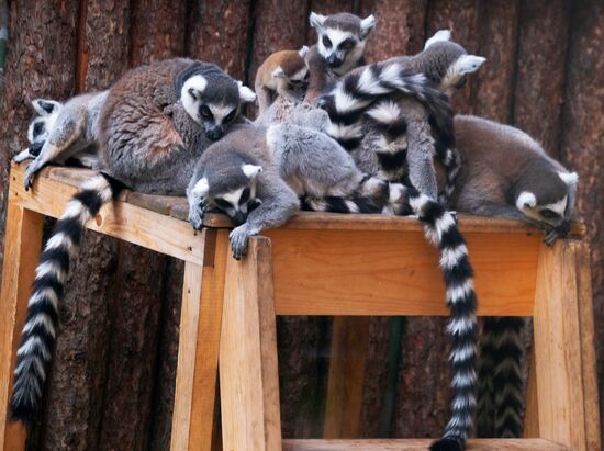 Московский зоопарк