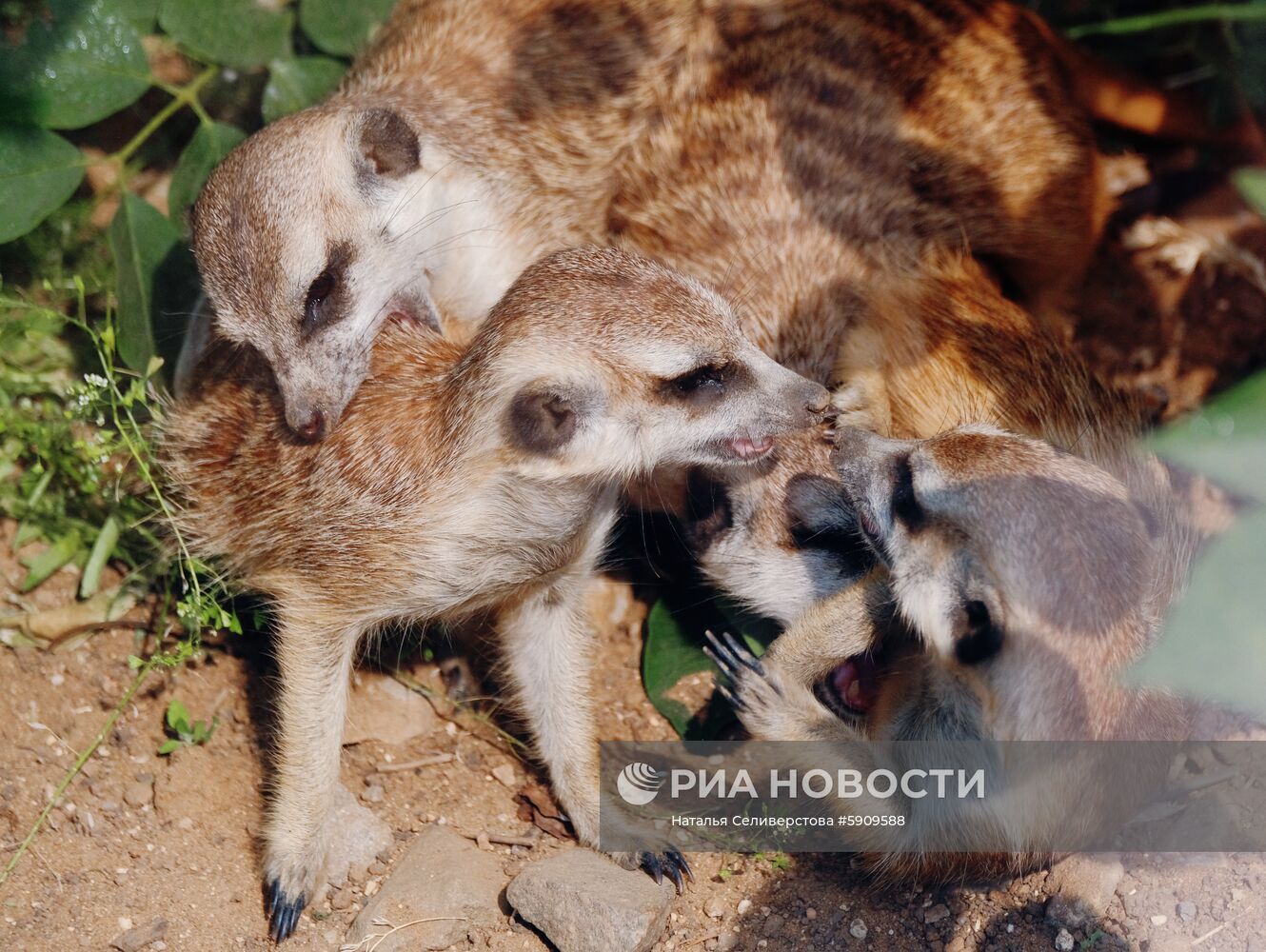 Московский зоопарк