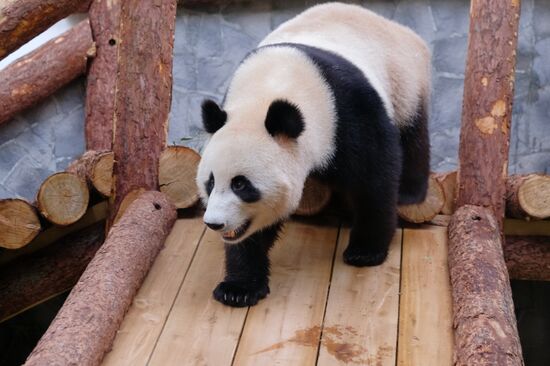 Московский зоопарк