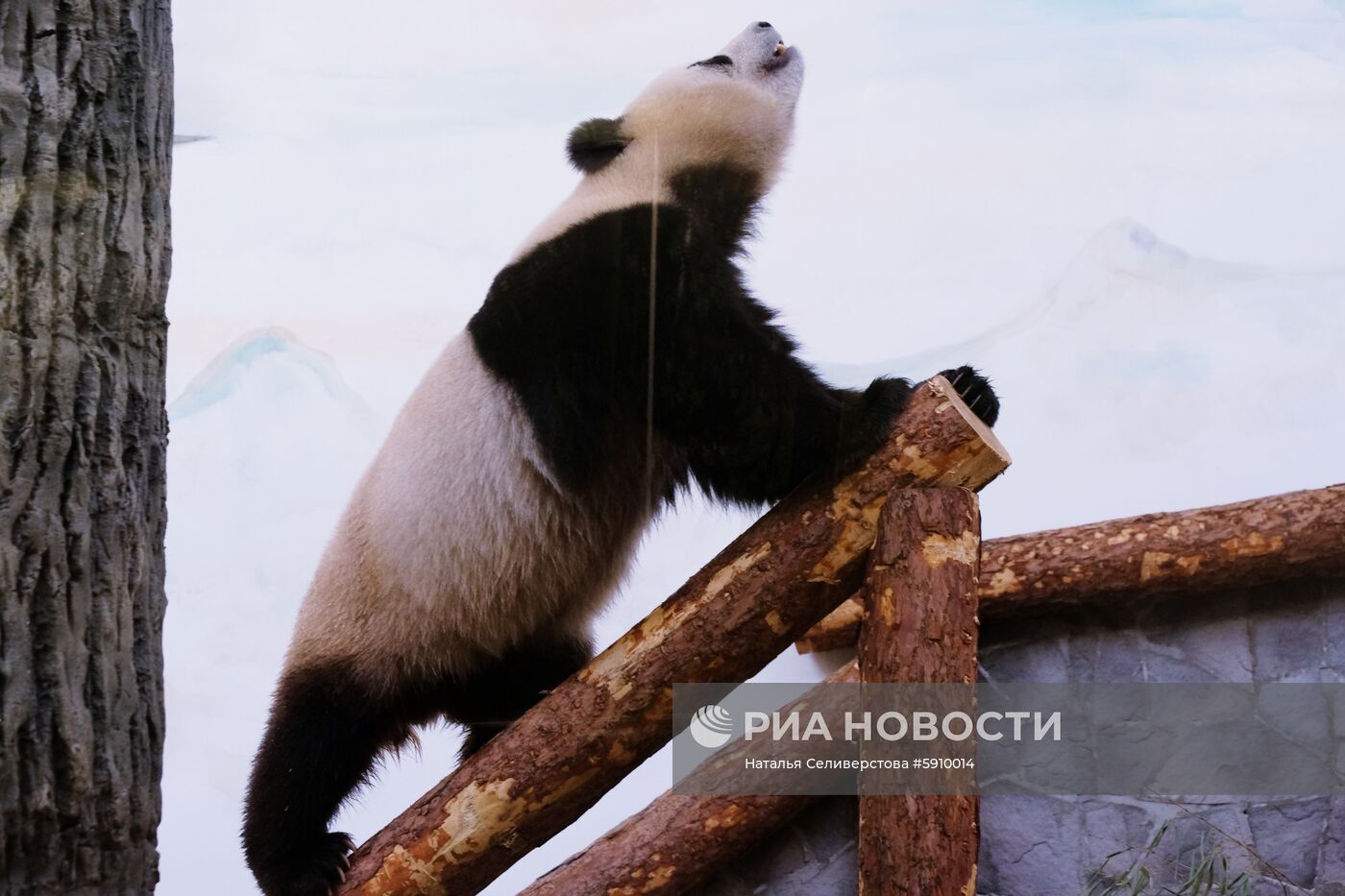 Московский зоопарк