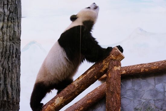 Московский зоопарк