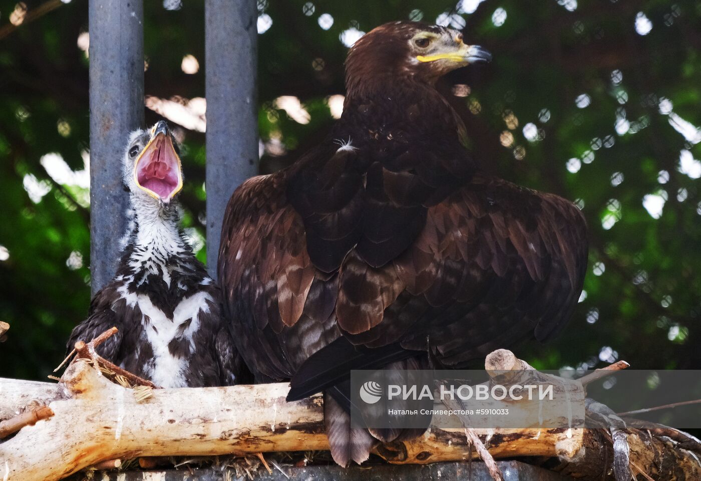 Московский зоопарк