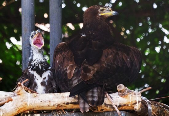 Московский зоопарк