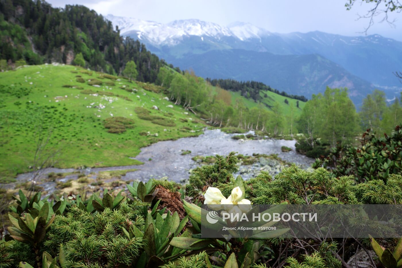 Софийская долина