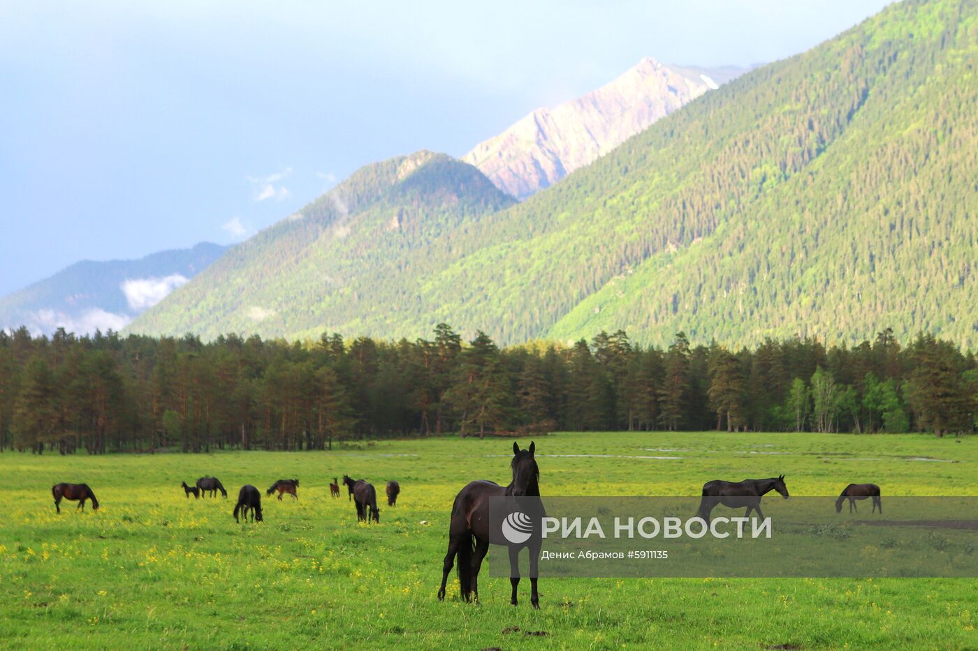 Софийская долина