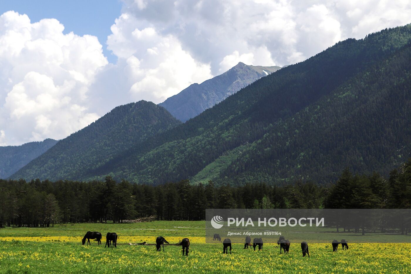 Софийская долина
