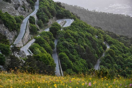 Отдых в Крыму