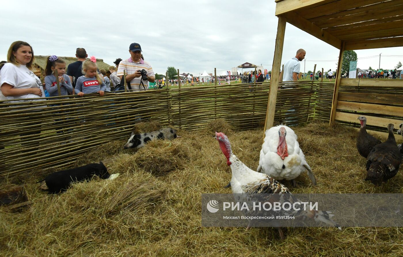 III Фестиваль национальных видов спорта "Русский мир"