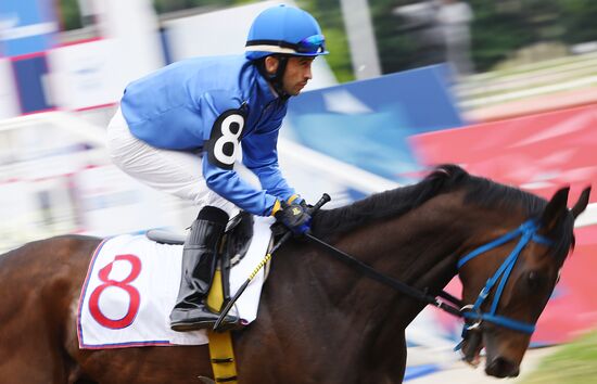 Скачки на приз президента России