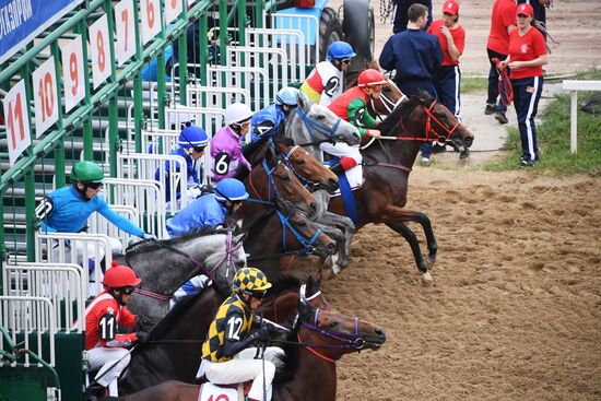 Скачки на приз президента России