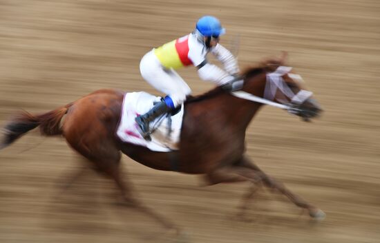 Скачки на приз президента России