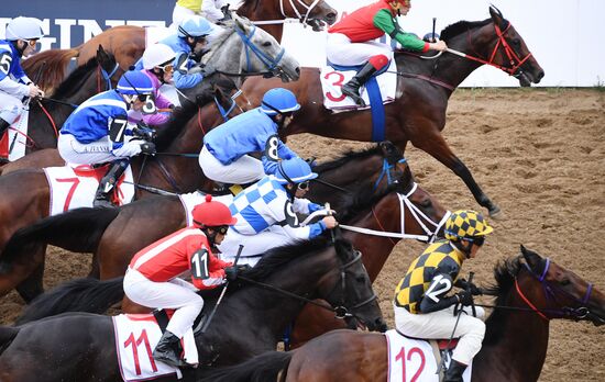 Скачки на приз президента России