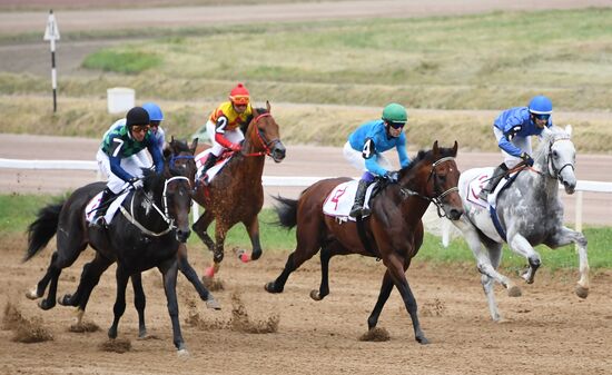 Скачки на приз президента России