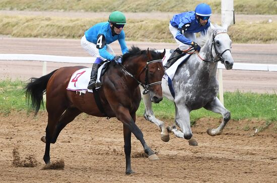 Скачки на приз президента России