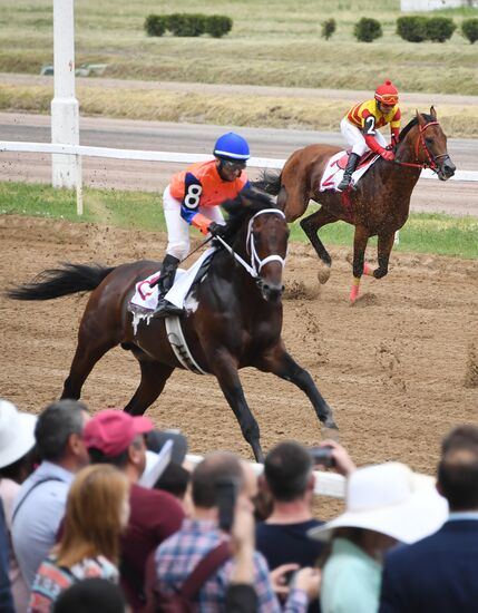 Скачки на приз президента России