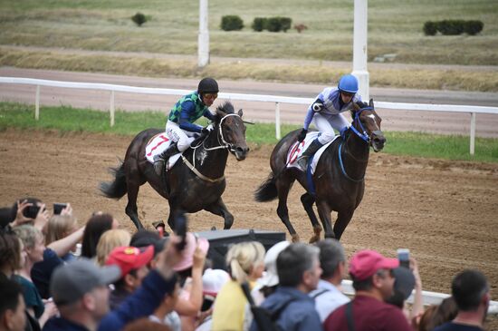 Скачки на приз президента России