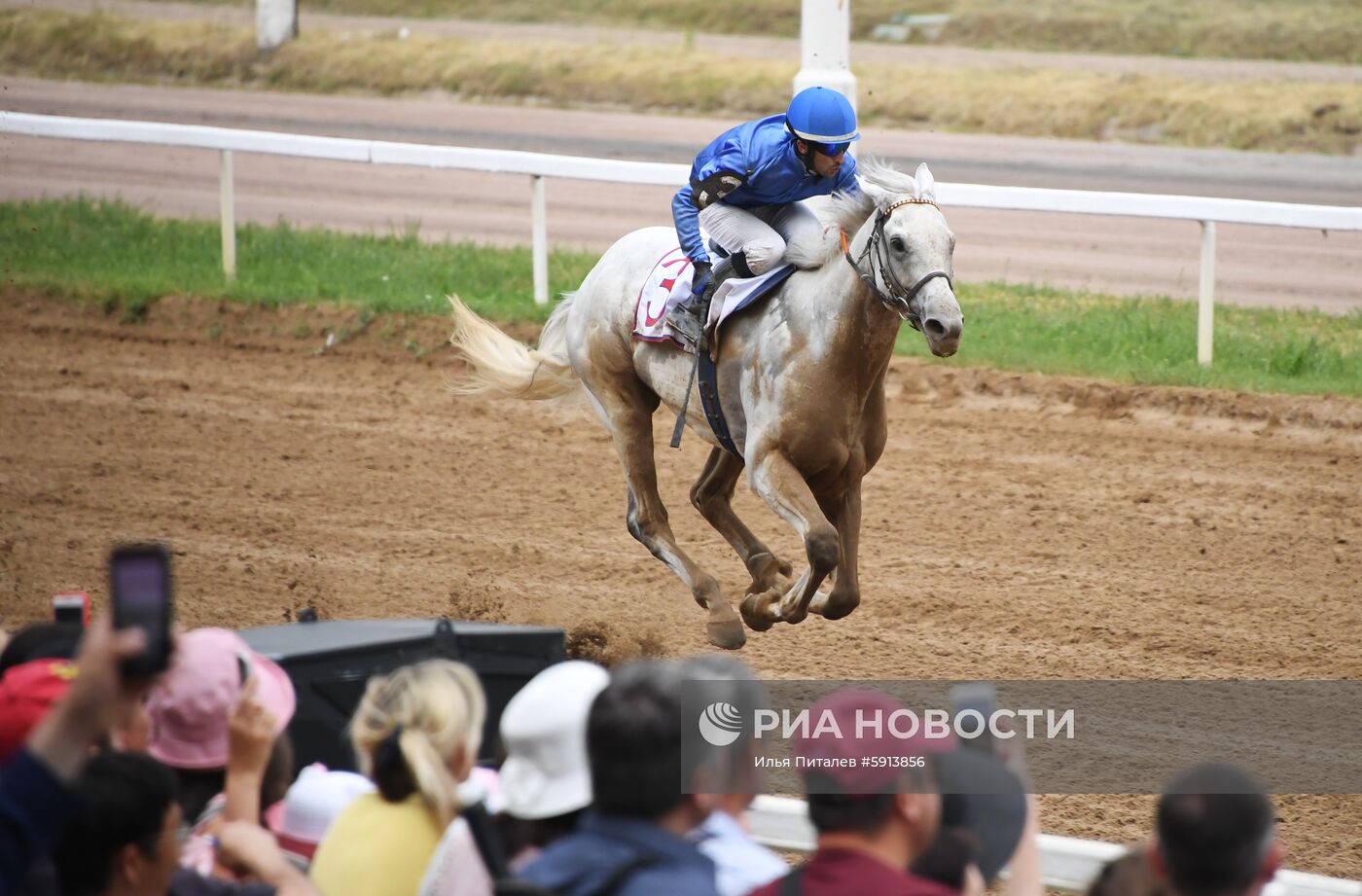 Скачки на приз президента России