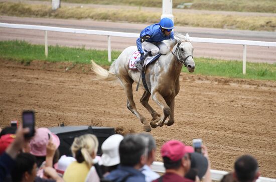 Скачки на приз президента России