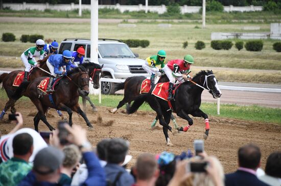 Скачки на приз президента России