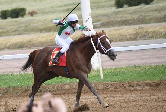 Скачки на приз президента России
