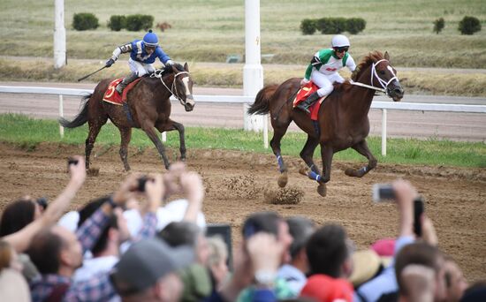 Скачки на приз президента России