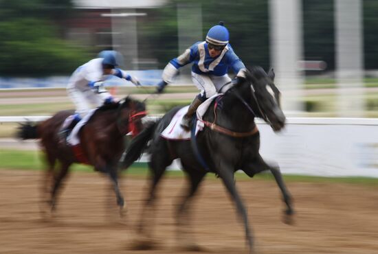 Скачки на приз президента России