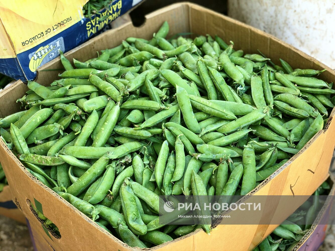 В Сирию возвращаются беженцы из Ливана