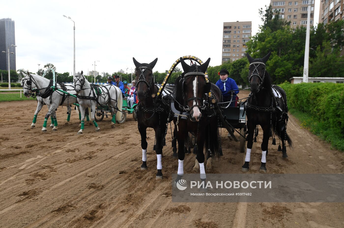 Заезды на Московском ипподроме