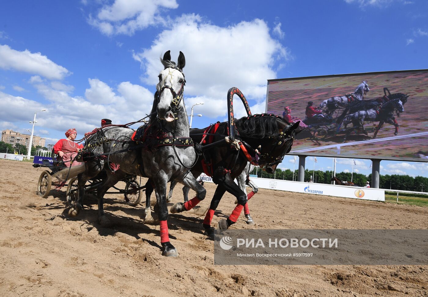 Заезды на Московском ипподроме