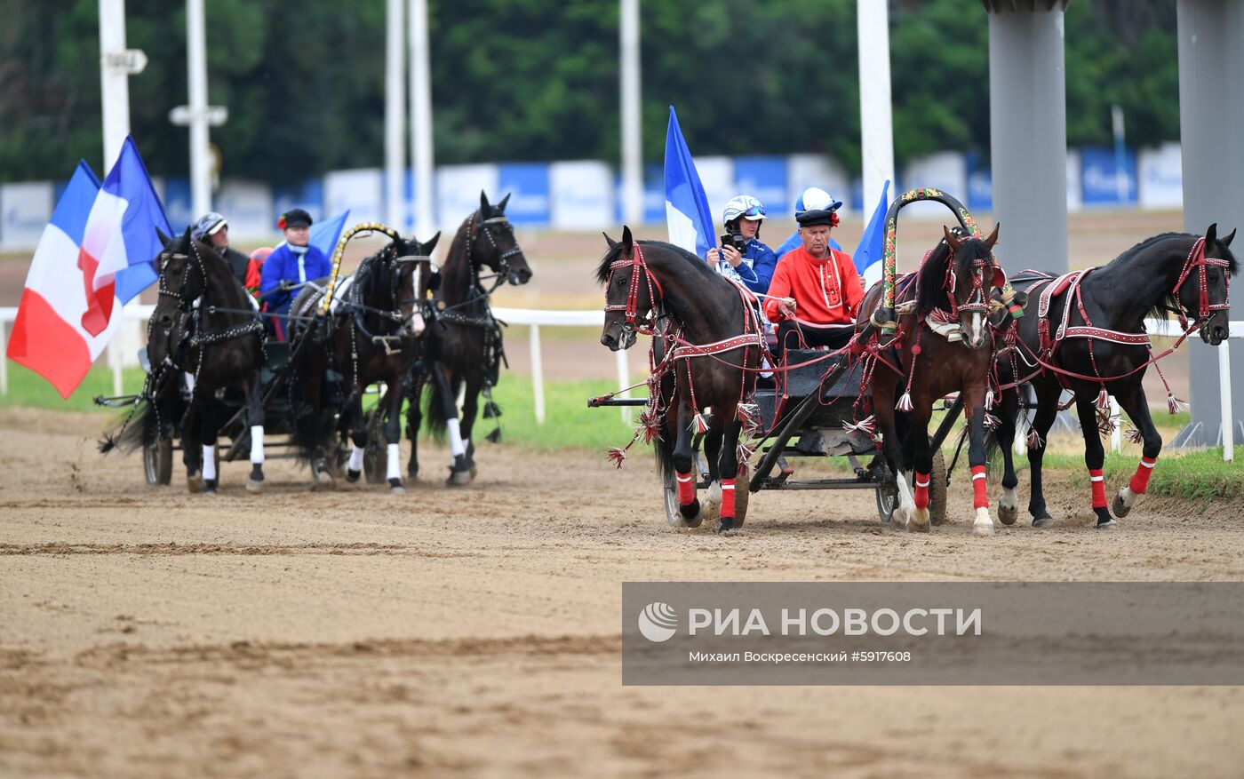 Заезды на Московском ипподроме