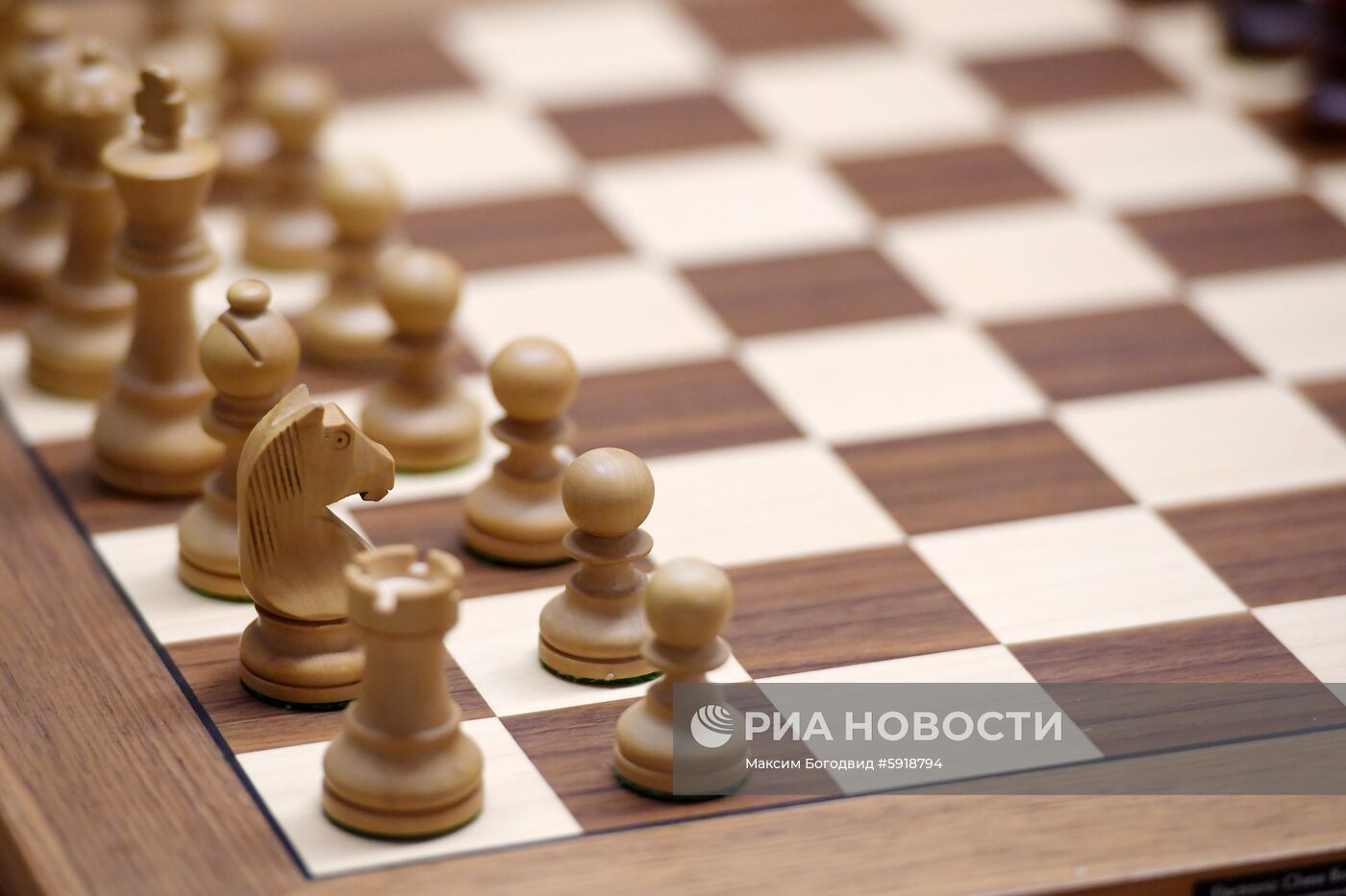 Шахматы. Турнир претенденток