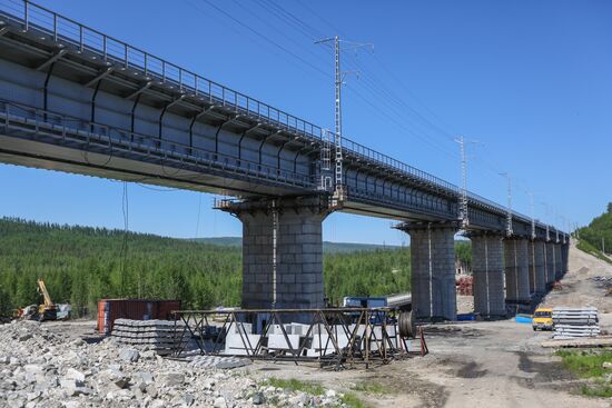 Строительство и реконструкция моста через реку Кованта в Амурской области