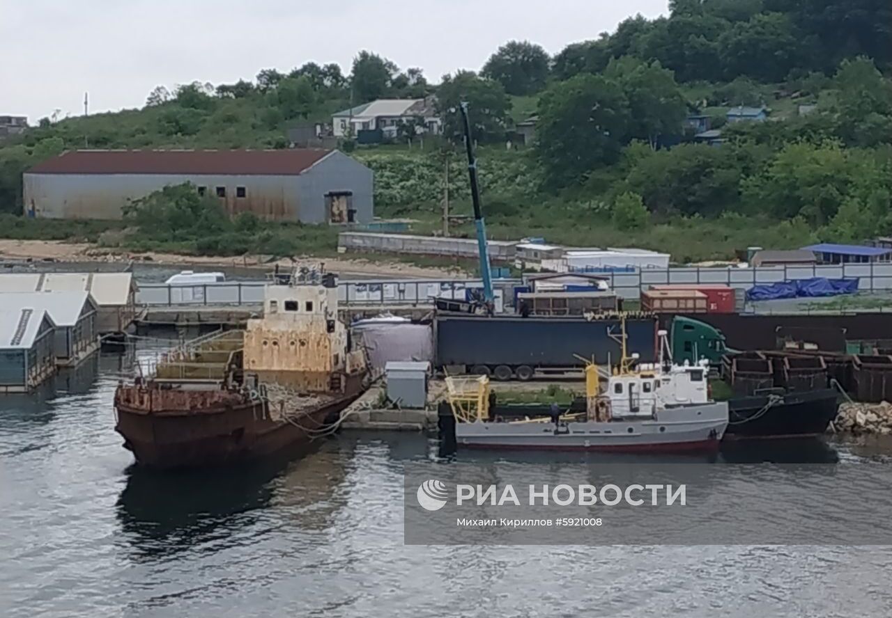 Косаток из "китовой тюрьмы" начали перегружать в машины для выпуска