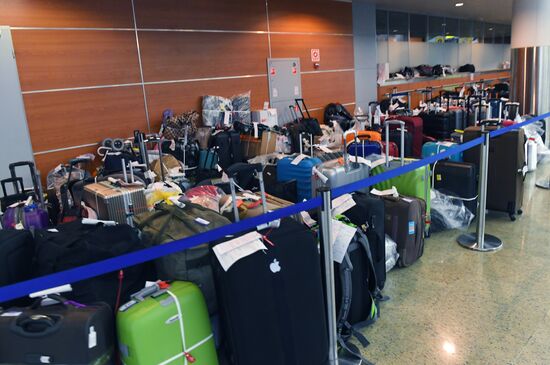 Выдача багажа в аэропорту "Шереметьево"