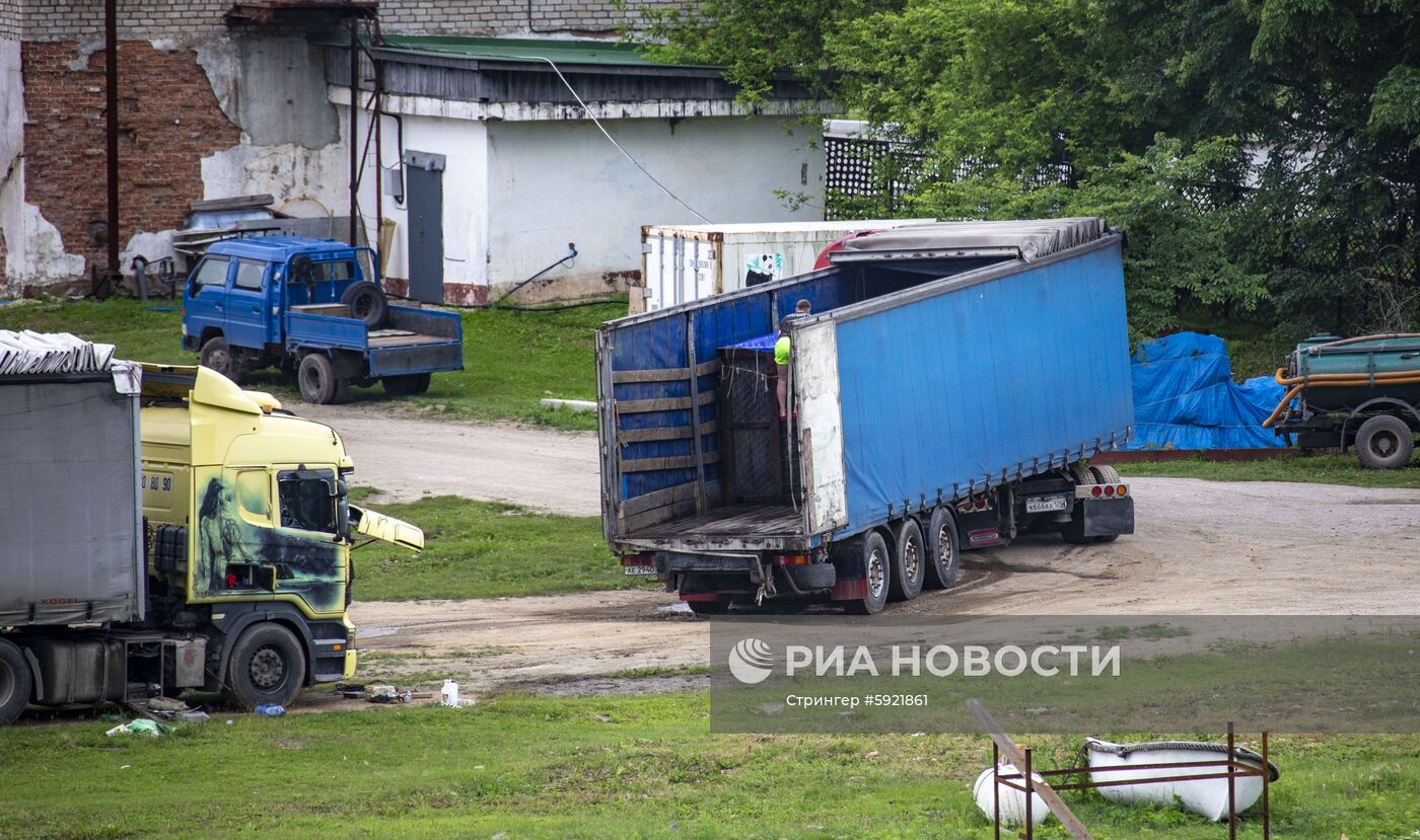 Косаток из "китовой тюрьмы" начали перегружать в машины для выпуска