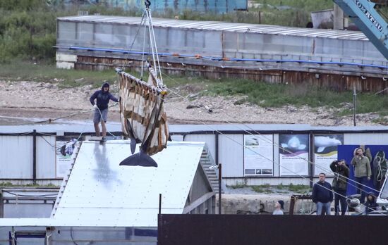 Косаток из "китовой тюрьмы" начали перегружать в машины для выпуска