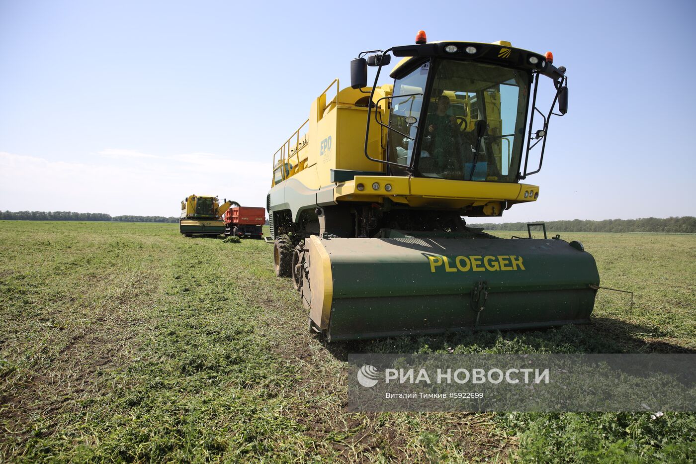 Производство горошка на предприятии "Бондюэль-Кубань"