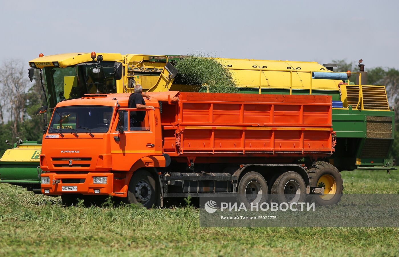 Производство горошка на предприятии "Бондюэль-Кубань"