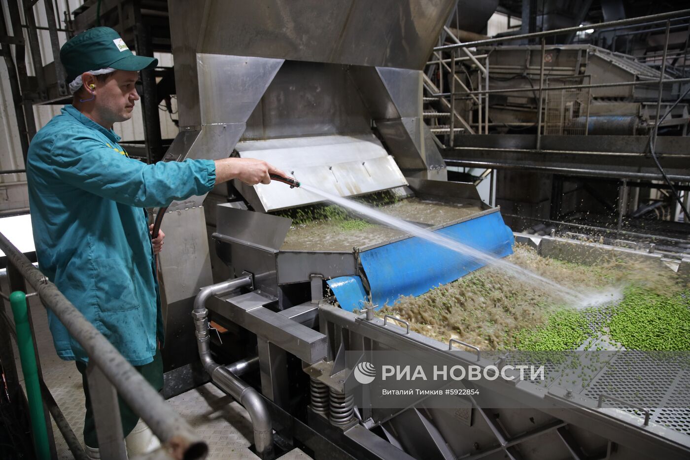 Производство горошка на предприятии "Бондюэль-Кубань"